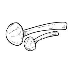 mushroom hand drawn