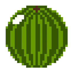 Watermelon illustration vector 