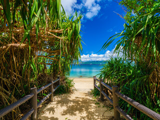 Fototapeta na wymiar Beautiful view of tropical blue sea or ocean by the white beach and floating a cloud in summer, Okinawa in Japan, Nobody, Landscape or travel, High resolution over 50MP for wallpaper