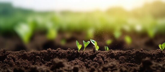 Fototapeta premium Monitor soil quality composition and technology icons for smart farm agricultural development
