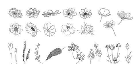 植物のシンプルイラストのセット、野の花、野の葉、ボタニカル,PNG.