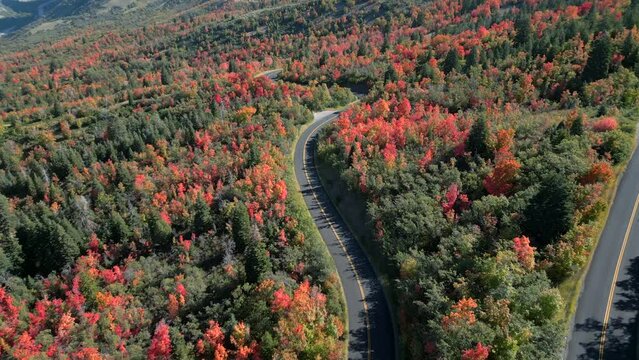 A breathtaking view of the colorful fall foliage near Kyhv Peak, Utah, captured from an aerial perspective, featuring a squiggly road