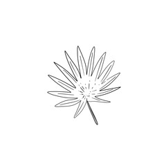 tropical leaves hand drawn