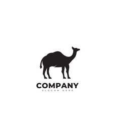 camel logo icon vector template