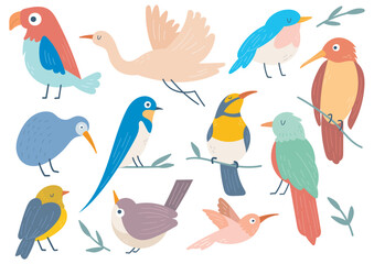 set of birds in flat style illustration