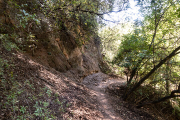 Fototapeta na wymiar Tourist trail leading through the Nahal Amud National Natural Park in Western Galilee in northern Israel