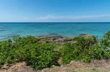 水平線のはっきりしたエメラルドグリーンの海と緑の岩場