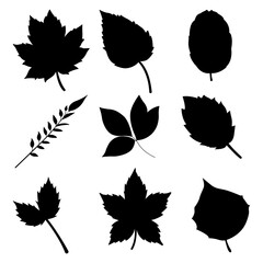leaves silhouette leaf silhouettes set vector illustration 