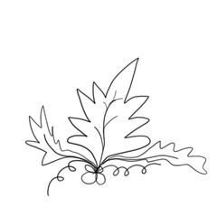 black and white leaves