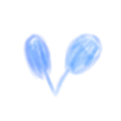 cotton swabs isolated on white