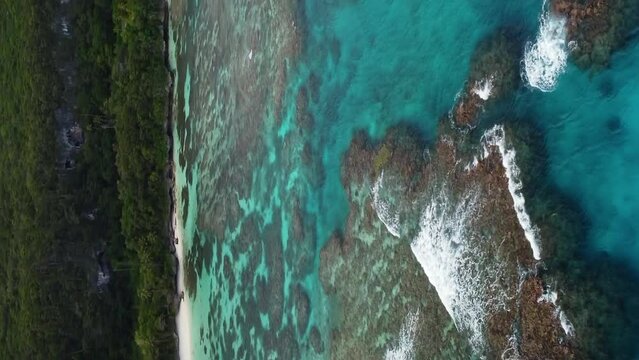 Waves breaking over coral reef off coast of Loyalty Islands. Vertical aerial pan.