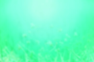 Fototapeta premium Beautiful abstract landscape background, natural green blurred grass in a park with bright sunlight.