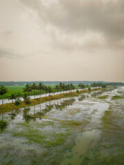 kerala landscape areal view
