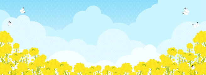 菜の花畑にモンシロチョウが飛ぶ風景（バナー向け横長）