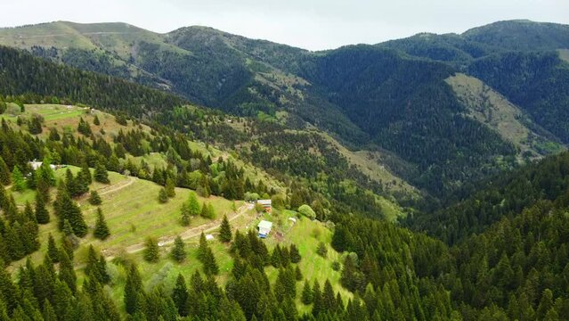 Drone shot Col de Turini mountain valley in French Alps in summer sun