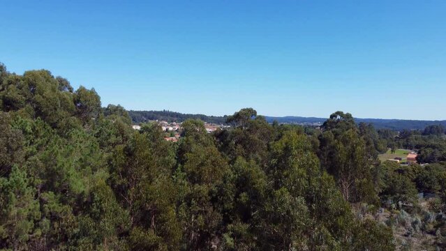 Eucalyptus globulus plantation, taking of to Bird's-Eye View of Galicia, Aerial Stock Footage Collection