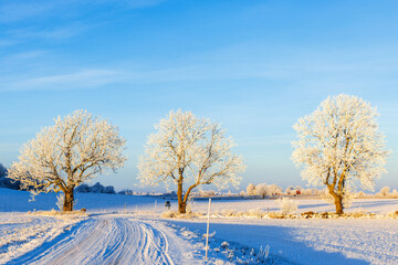 Snowy road conditions on a country road