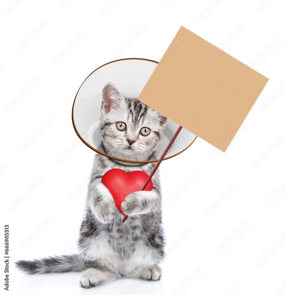 Poster Cute tabby kitten wearing protective cone collar showing empty placard. Isolated on white background