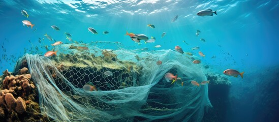 illegal nets on depleted reef - obrazy, fototapety, plakaty