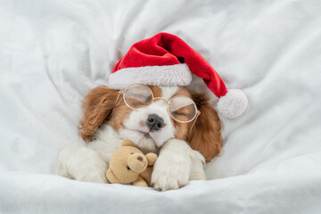 Cozy Cavalier King Charles Spaniel puppy wearing eyeglasses and red santa hat sleeps and hugs toy...