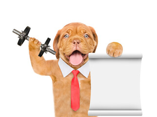 Smart mastiff puppy wearing necktie lifts dumbbells and shows empty list. isolated on white background