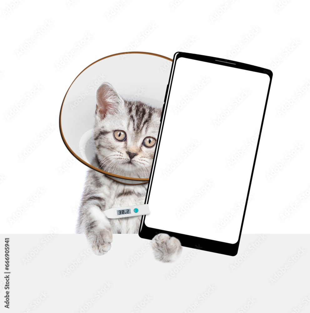Poster cute tabby kitten with thermometer and protective cone collar on her neck shows big smartphone with 