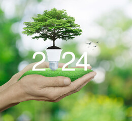 2024 white text with fresh green tree on soil and light bulb on green grass in hands over blur...