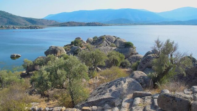 A boat passes through Lake Bafa, which is home to the ancient city and olive trees