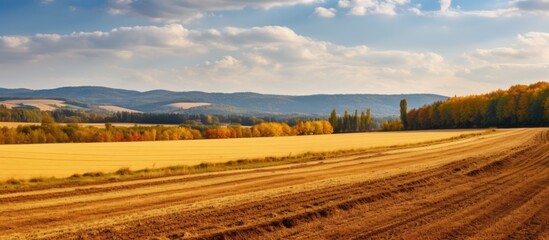 Fototapeta premium Autumn countryside with a farmland field and forest backdrop