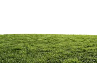 Wandaufkleber beautiful green field with flower and grass © Nawaphon