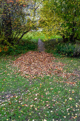 Pile of leaves in public park Kumla Sweden