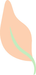 Hand Drawn Leaf Element