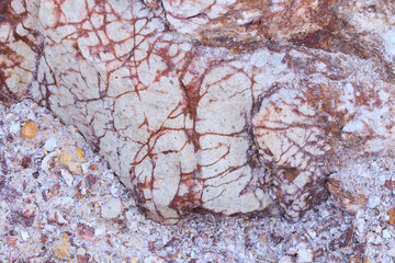 Volcanic rocks, Ignimbrite with Jarosite and Goethite in Almeria