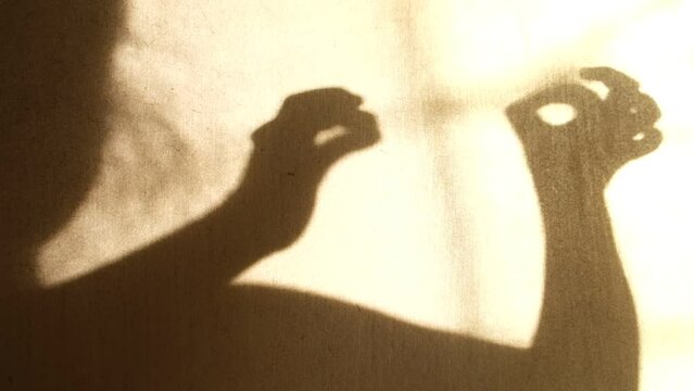 Shadow of child hands on the wall. Girl playing with light and shadow.   Having fun time at home. Majestic sunlight