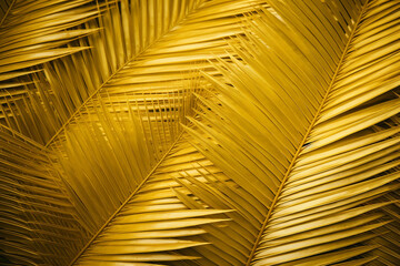 illustration of golden palm leaves background. Created with Generative AI