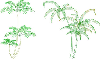 Fototapeta na wymiar vector illustration sketch of palm tree architectural details to complete the scenic image