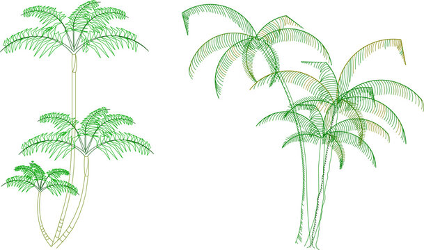 vector illustration sketch of palm tree architectural details to complete the scenic image
