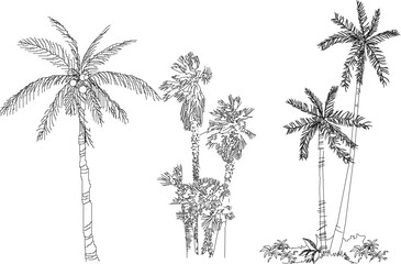 vector illustration sketch of palm tree architectural details to complete the scenic image