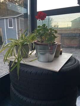 mesa reciclada con ruedas y plantas