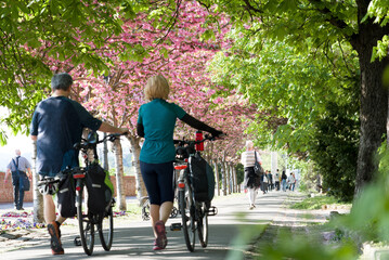 Couple rolling bicycles along park alley