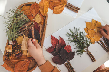 Children's creativity, child's study of natural materials, application top view