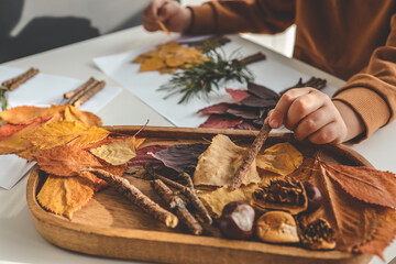 Children's creativity, child's study of natural materials