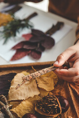 Children's creativity, child's study of natural materials