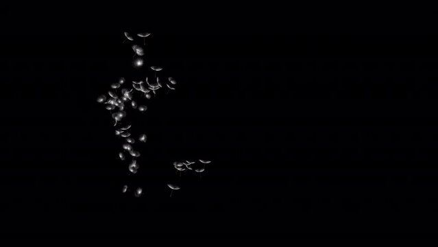 animated dandelion blown from the side with alpha