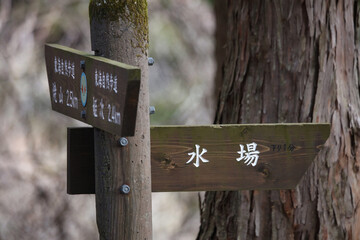 道標（焼山・姫次・水場）