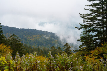Great Smoky Mountains