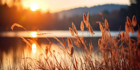 Foto op Plexiglas paysage de campagne dans un champ au levé du soleil © Sébastien Jouve