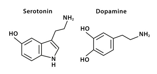 Chemical structure of serotonin and dopamine. Molecular structure. Isolated on white background. Vector illustration