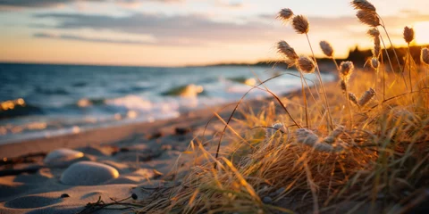 Fotobehang rivage de bord de mer au levé du soleil sur une plage déserte © Sébastien Jouve