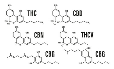Visual drawing of the molecular chemistry structure of the difference formula of marijuana for CBD, THC, CBN, CBG, THCV and CBC. Isolated on white background. Vector illustration - obrazy, fototapety, plakaty